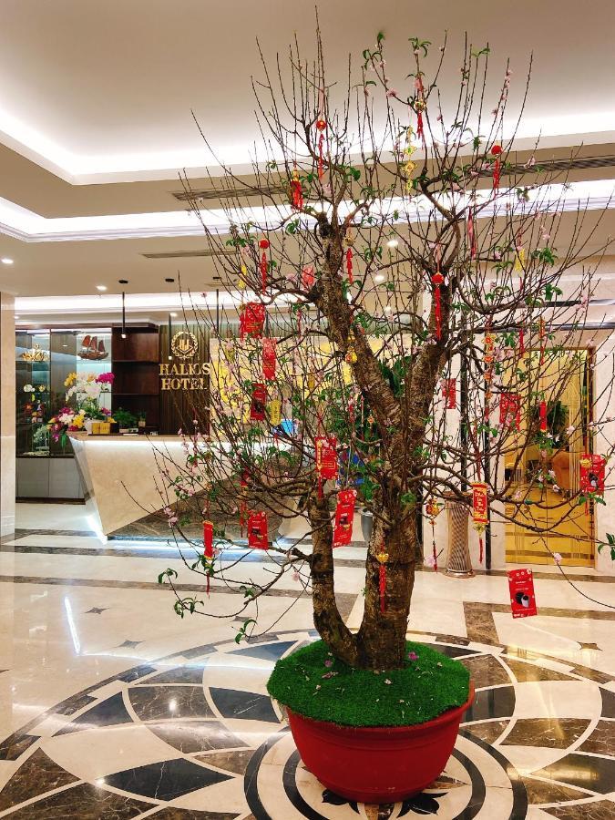 Halios Khách sạn Hạ Long